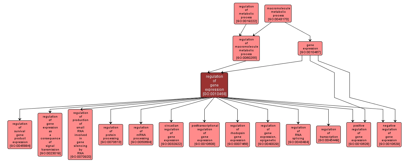 GO:0010468 - regulation of gene expression (interactive image map)