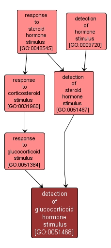 GO:0051468 - detection of glucocorticoid hormone stimulus (interactive image map)