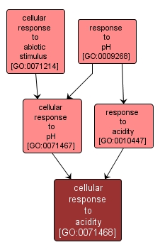 GO:0071468 - cellular response to acidity (interactive image map)