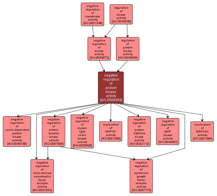 GO:0006469 - negative regulation of protein kinase activity (interactive image map)