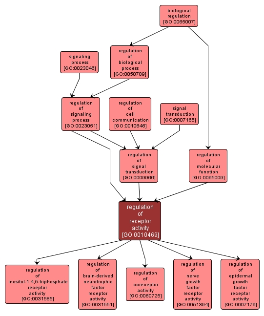 GO:0010469 - regulation of receptor activity (interactive image map)