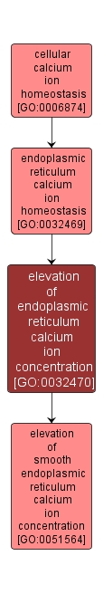 GO:0032470 - elevation of endoplasmic reticulum calcium ion concentration (interactive image map)