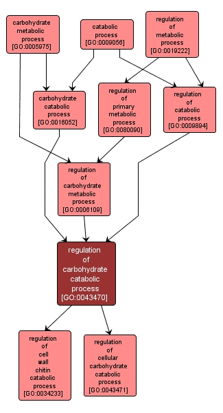 GO:0043470 - regulation of carbohydrate catabolic process (interactive image map)