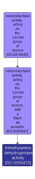 GO:0050470 - trimethylamine dehydrogenase activity (interactive image map)