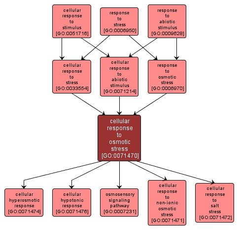 GO:0071470 - cellular response to osmotic stress (interactive image map)