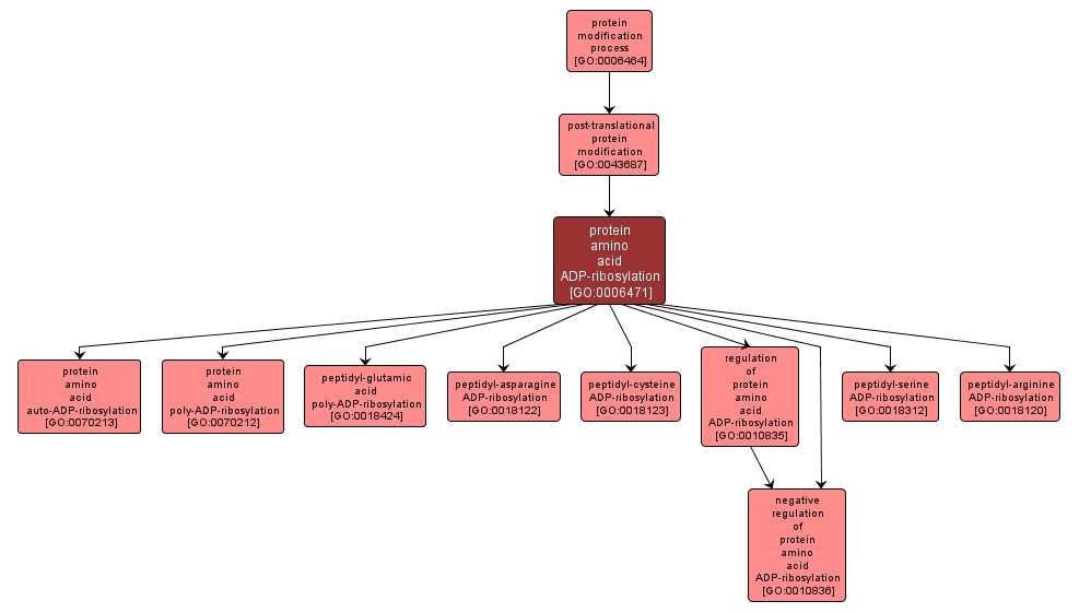 GO:0006471 - protein amino acid ADP-ribosylation (interactive image map)