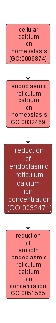 GO:0032471 - reduction of endoplasmic reticulum calcium ion concentration (interactive image map)