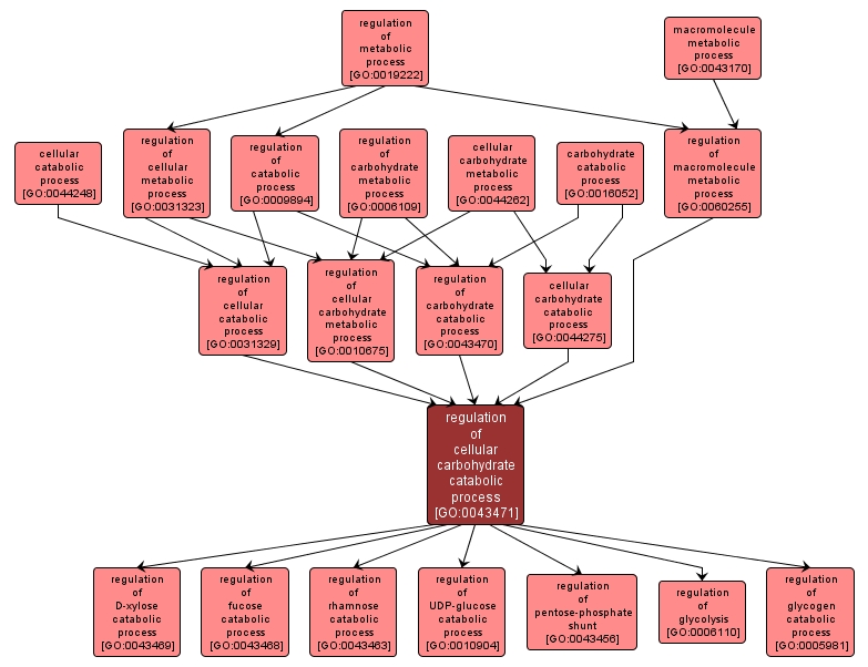 GO:0043471 - regulation of cellular carbohydrate catabolic process (interactive image map)