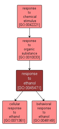 GO:0045471 - response to ethanol (interactive image map)