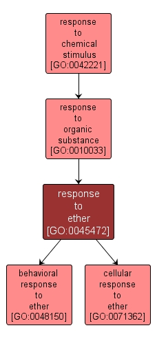 GO:0045472 - response to ether (interactive image map)