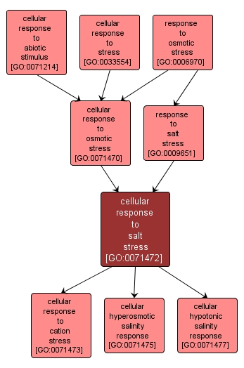 GO:0071472 - cellular response to salt stress (interactive image map)