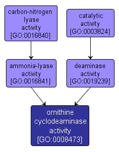 GO:0008473 - ornithine cyclodeaminase activity (interactive image map)