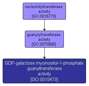 GO:0010473 - GDP-galactose:myoinositol-1-phosphate guanyltransferase activity (interactive image map)