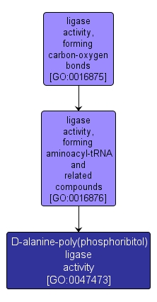 GO:0047473 - D-alanine-poly(phosphoribitol) ligase activity (interactive image map)