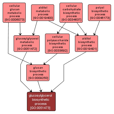 GO:0051473 - glucosylglycerol biosynthetic process (interactive image map)