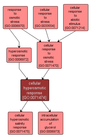 GO:0071474 - cellular hyperosmotic response (interactive image map)
