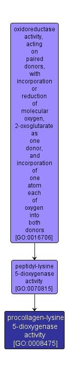 GO:0008475 - procollagen-lysine 5-dioxygenase activity (interactive image map)