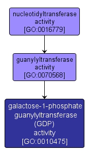 GO:0010475 - galactose-1-phosphate guanylyltransferase (GDP) activity (interactive image map)