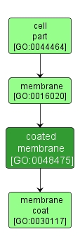 GO:0048475 - coated membrane (interactive image map)