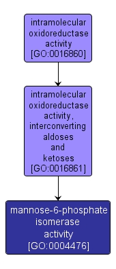 GO:0004476 - mannose-6-phosphate isomerase activity (interactive image map)