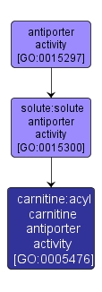 GO:0005476 - carnitine:acyl carnitine antiporter activity (interactive image map)