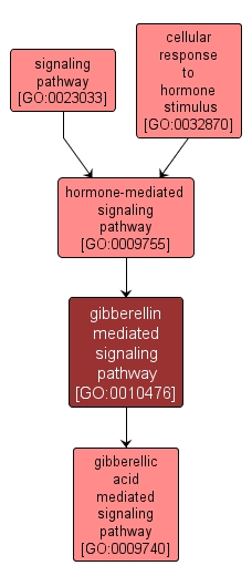 GO:0010476 - gibberellin mediated signaling pathway (interactive image map)