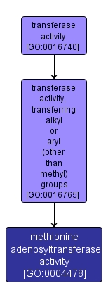 GO:0004478 - methionine adenosyltransferase activity (interactive image map)