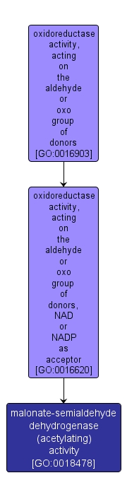 GO:0018478 - malonate-semialdehyde dehydrogenase (acetylating) activity (interactive image map)