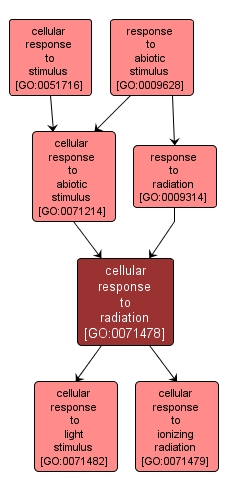 GO:0071478 - cellular response to radiation (interactive image map)