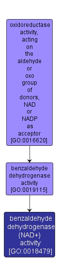 GO:0018479 - benzaldehyde dehydrogenase (NAD+) activity (interactive image map)
