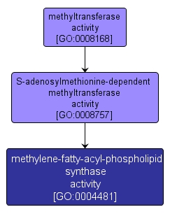 GO:0004481 - methylene-fatty-acyl-phospholipid synthase activity (interactive image map)