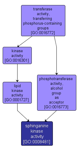 GO:0008481 - sphinganine kinase activity (interactive image map)