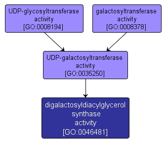 GO:0046481 - digalactosyldiacylglycerol synthase activity (interactive image map)