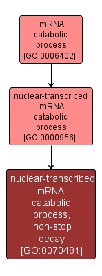 GO:0070481 - nuclear-transcribed mRNA catabolic process, non-stop decay (interactive image map)
