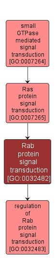 GO:0032482 - Rab protein signal transduction (interactive image map)