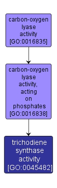 GO:0045482 - trichodiene synthase activity (interactive image map)