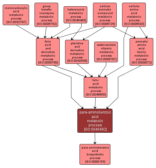 GO:0046482 - para-aminobenzoic acid metabolic process (interactive image map)