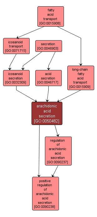 GO:0050482 - arachidonic acid secretion (interactive image map)