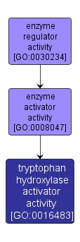 GO:0016483 - tryptophan hydroxylase activator activity (interactive image map)