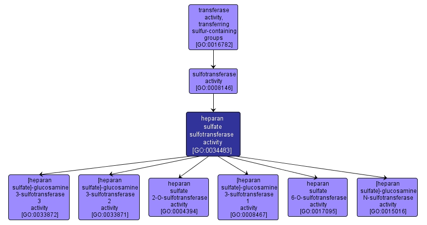 GO:0034483 - heparan sulfate sulfotransferase activity (interactive image map)