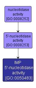 GO:0050483 - IMP 5'-nucleotidase activity (interactive image map)