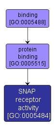 GO:0005484 - SNAP receptor activity (interactive image map)