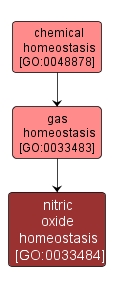 GO:0033484 - nitric oxide homeostasis (interactive image map)