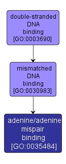 GO:0035484 - adenine/adenine mispair binding (interactive image map)