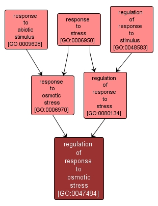GO:0047484 - regulation of response to osmotic stress (interactive image map)