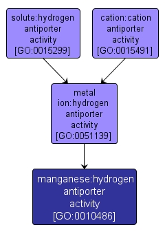 GO:0010486 - manganese:hydrogen antiporter activity (interactive image map)
