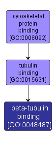 GO:0048487 - beta-tubulin binding (interactive image map)