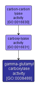 GO:0008488 - gamma-glutamyl carboxylase activity (interactive image map)