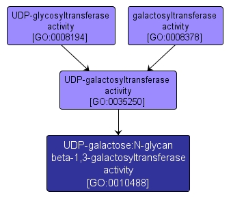 GO:0010488 - UDP-galactose:N-glycan beta-1,3-galactosyltransferase activity (interactive image map)