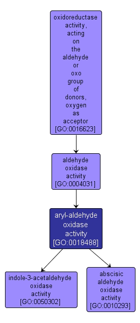 GO:0018488 - aryl-aldehyde oxidase activity (interactive image map)